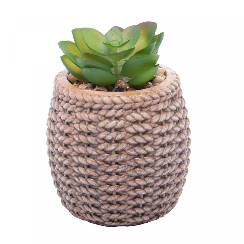 CACHEPOT DE CERAMICA COM SUCULENTA SISAL 7,5X7,5CX10,5CM - WOLFF